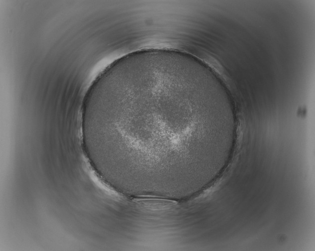 X0000113571030200910021624