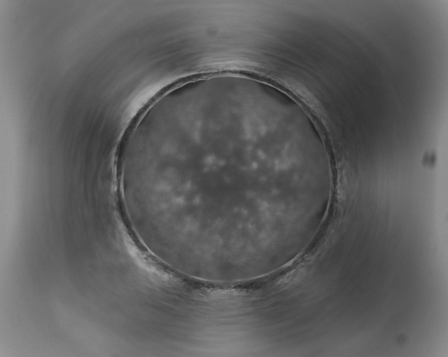 X0000113571031200910021624