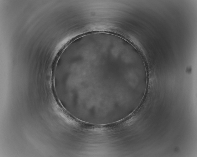 X0000113571035200910021624