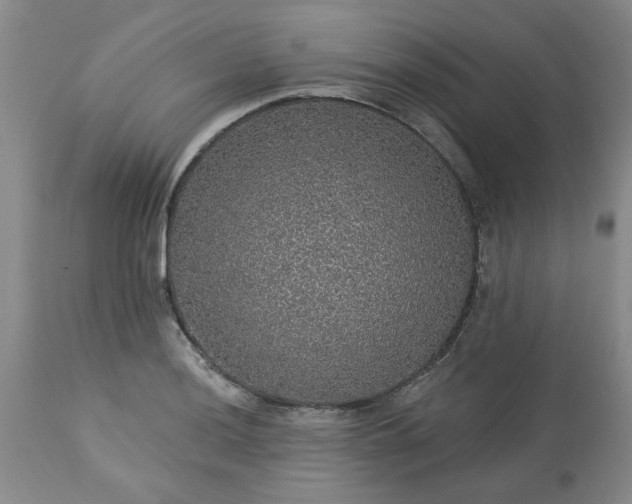 X0000113571036200910021624