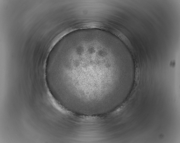 X0000113571039200910021625