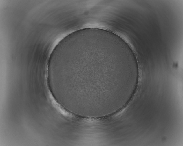 X0000113571040200910021625
