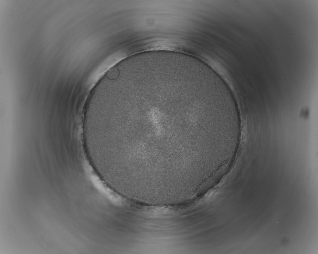 X0000113571042200910021625