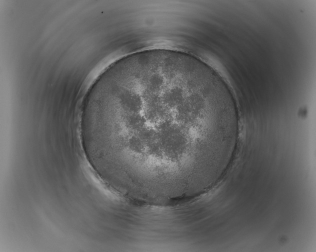 X0000113571043200910021625