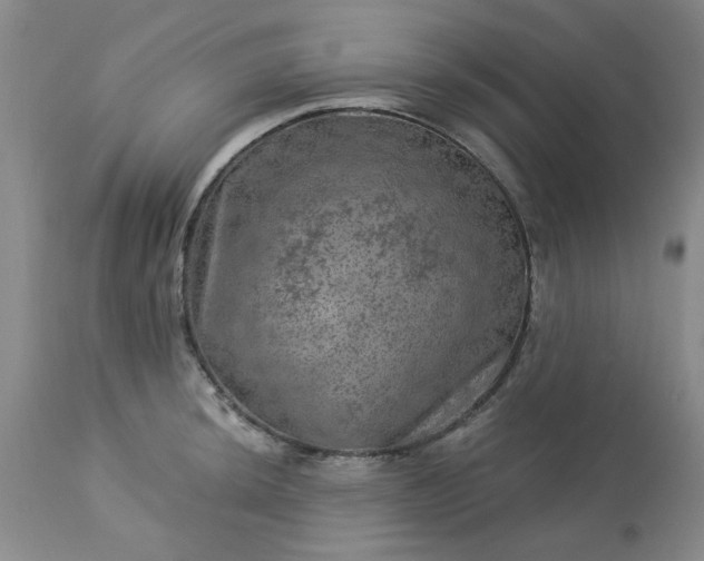 X0000113571044200910021625
