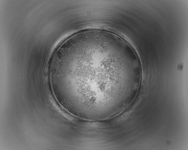 X0000113571045200910021625