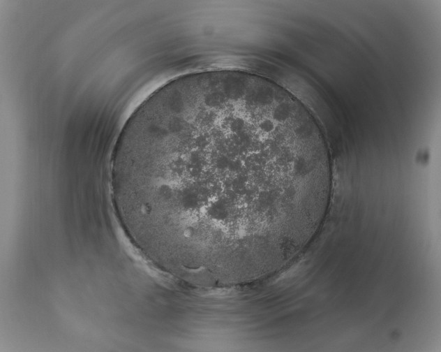 X0000113571047200910021625