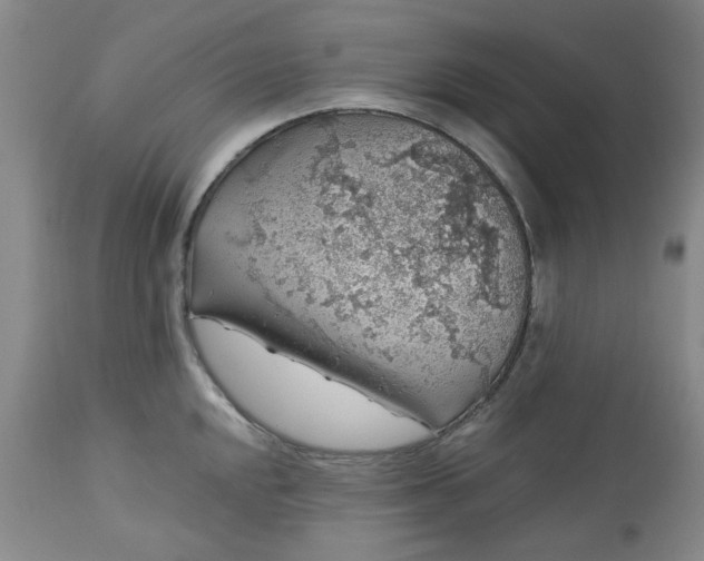 X0000113571048200910021625
