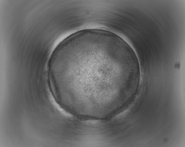 X0000113571053200910021625