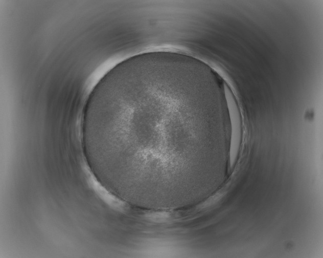 X0000113571054200910021625
