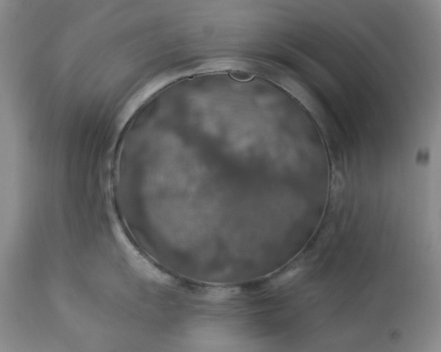 X0000113571055200910021625