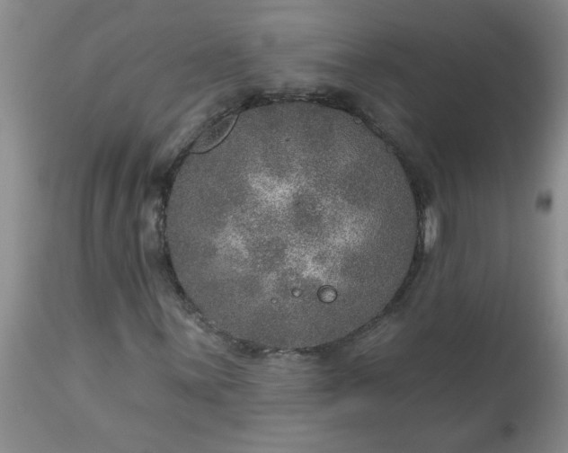 X0000113571059200910021624