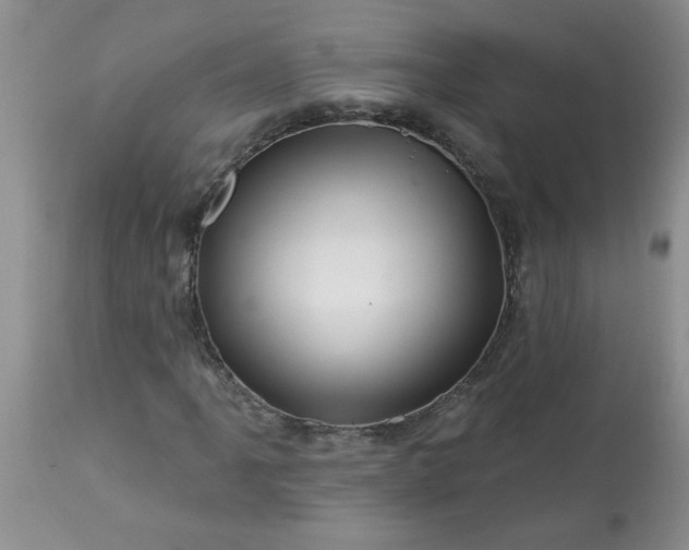 X0000113571061200910021624