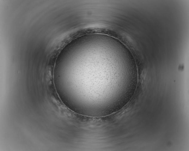 X0000113571062200910021624