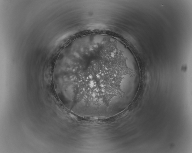 X0000113571063200910021624