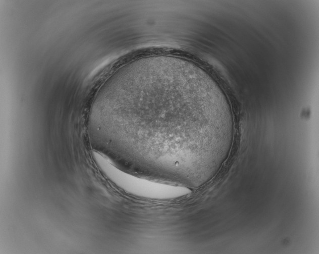 X0000113571064200910021624