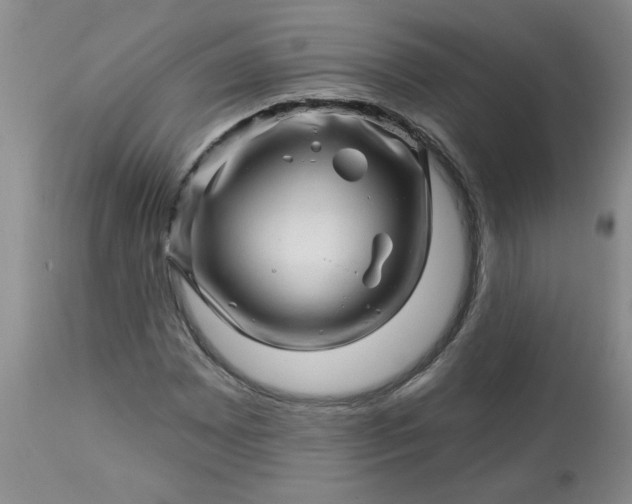X0000113571065200910021624