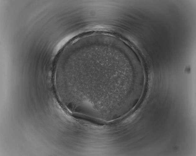 X0000113571066200910021624