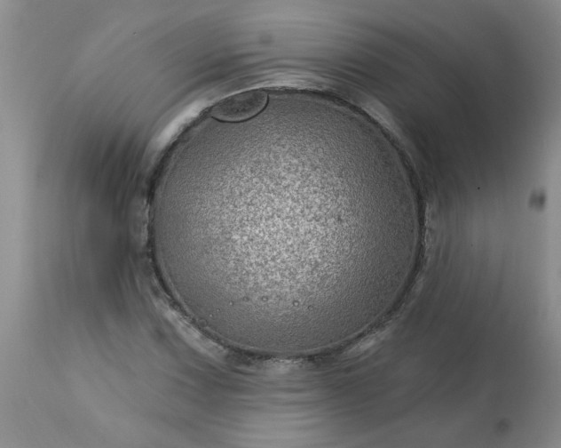 X0000113571067200910021624