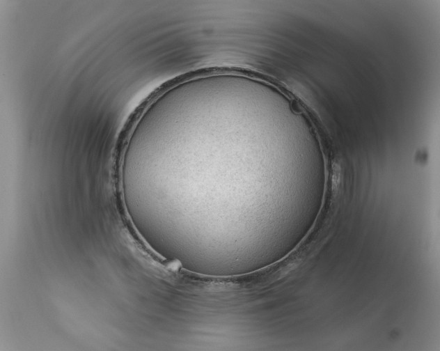 X0000113571068200910021624