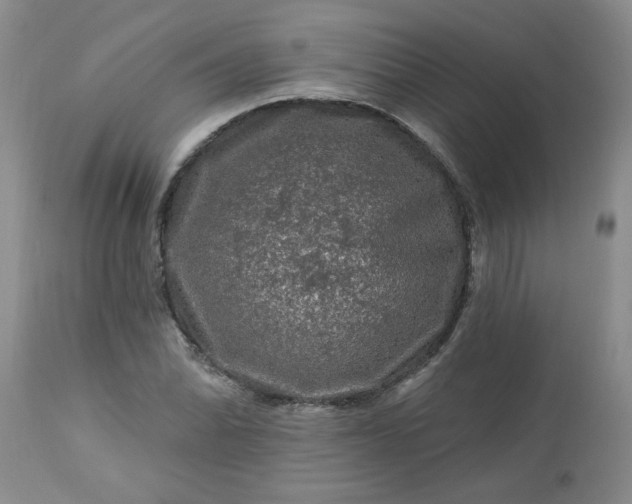 X0000113571070200910021624