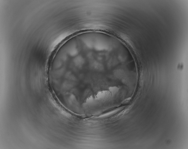 X0000113571071200910021624