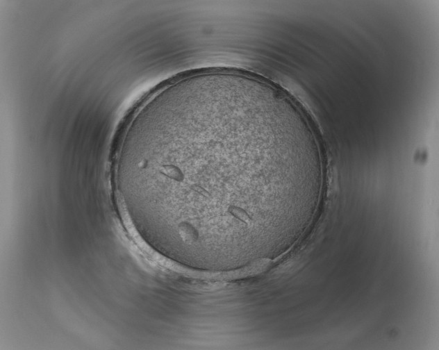 X0000113571072200910021624