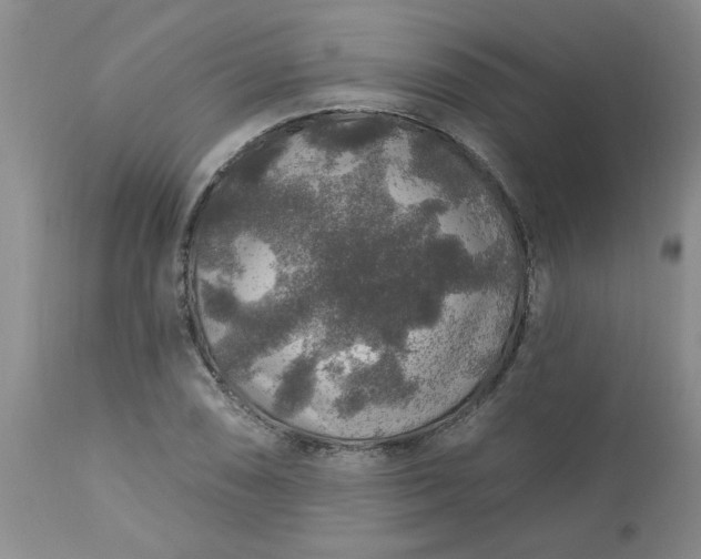 X0000113571074200910021624