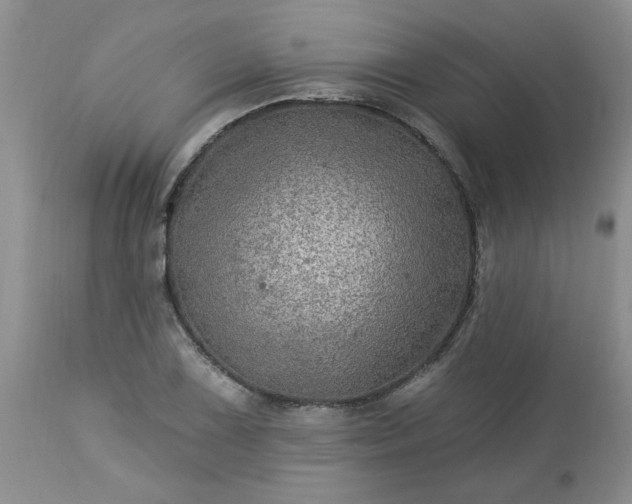 X0000113571075200910021624
