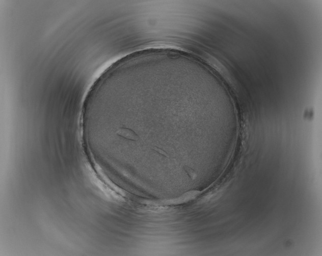 X0000113571076200910021624