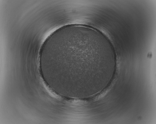 X0000113571077200910021624