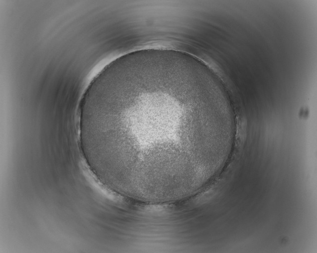 X0000113571078200910021624