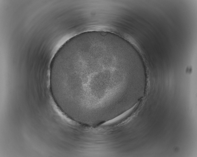 X0000113571079200910021624