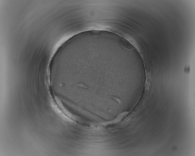 X0000113571080200910021624
