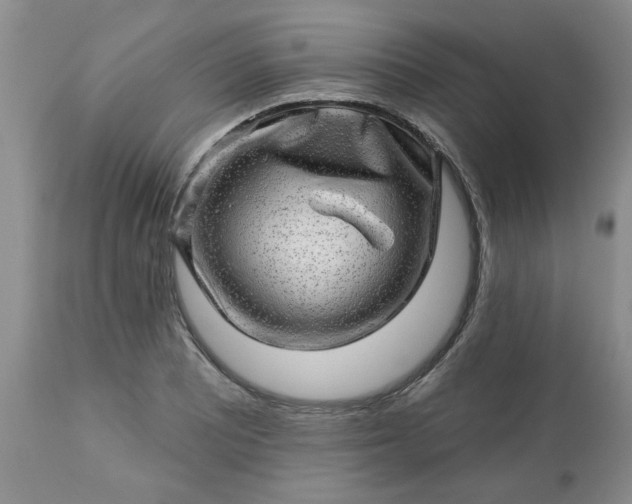 X0000113571081200910021624