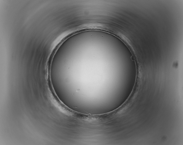 X0000113571082200910021624