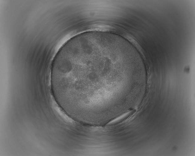X0000113571083200910021624