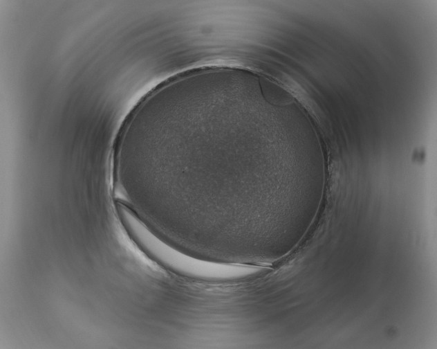 X0000113571084200910021624
