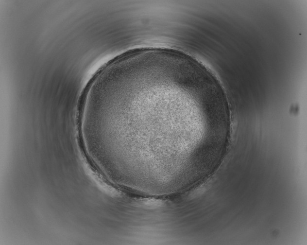 X0000113571085200910021624