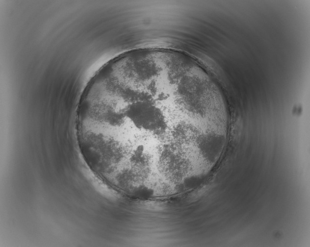 X0000113571086200910021624