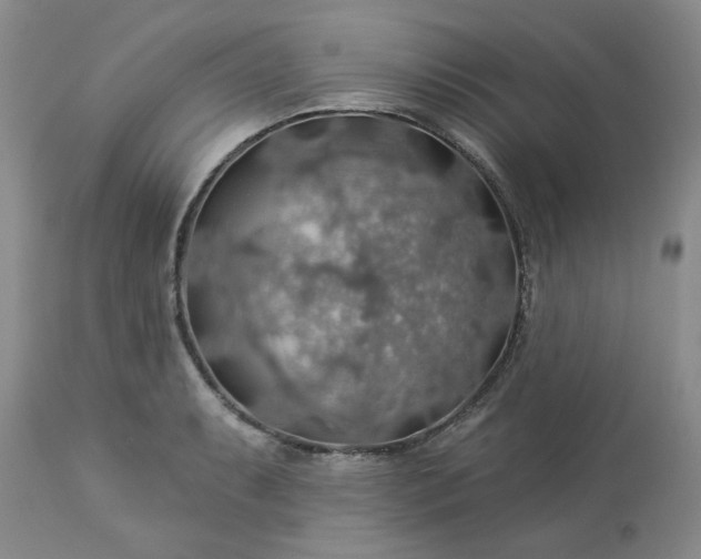 X0000113571087200910021624