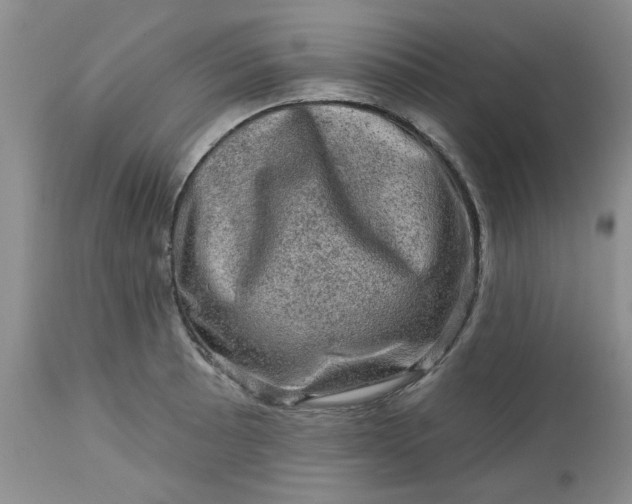 X0000113571089200910021624
