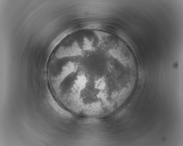 X0000113571090200910021624