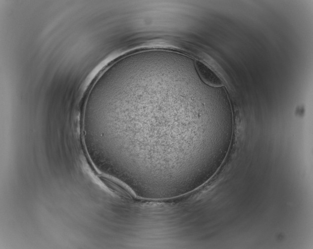 X0000113571092200910021624