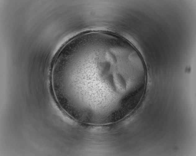 X0000113571093200910021624