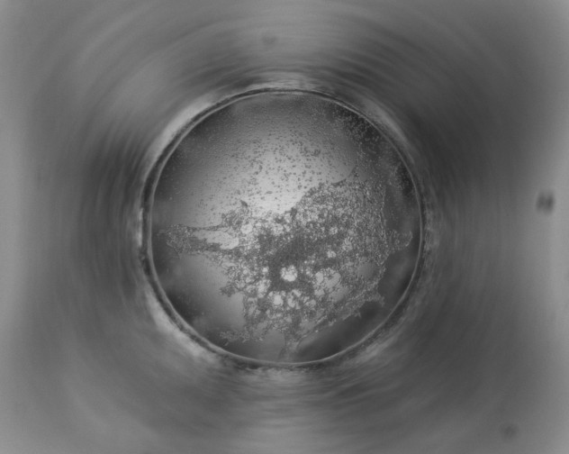 X0000113571095200910021624