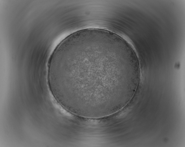 X0000113571096200910021624
