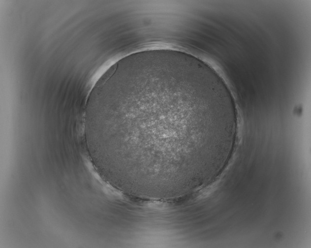 X0000113571097200910021624
