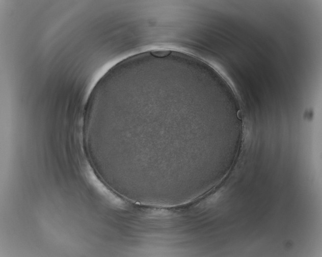X0000113571100200910021624