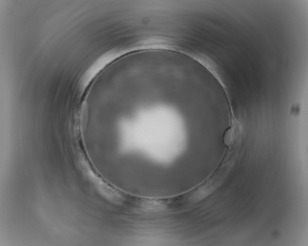 X0000113571101200910021623